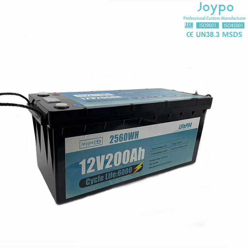 Wohnmobil Camper Langlebigkeit LFP Lifepo4 Batterie 12V 24V 100Ah 200Ah mit Smart BMS