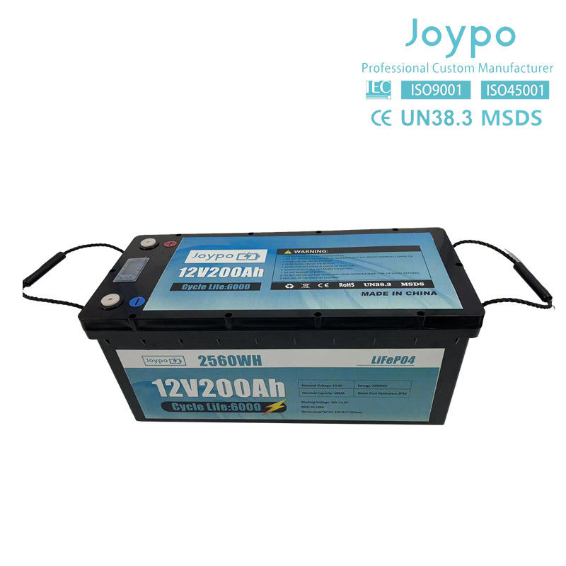 Wohnmobil Camper Langlebigkeit LFP Lifepo4 Batterie 12V 24V 100Ah 200Ah mit Smart BMS